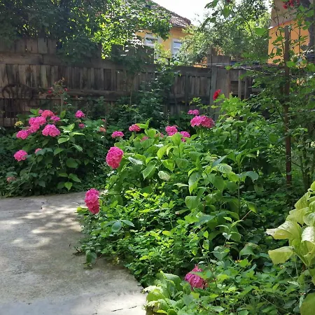 Republicii Apartamento Braşov